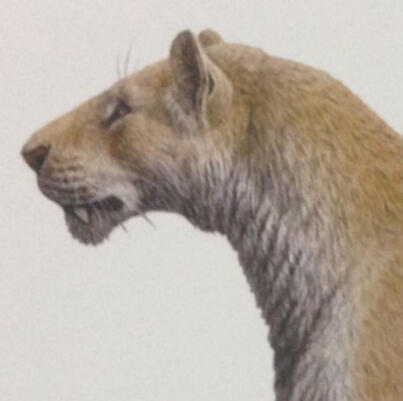 an image a xenosmilus, an extinct saber-toothed cat. its a side profile, facing the left